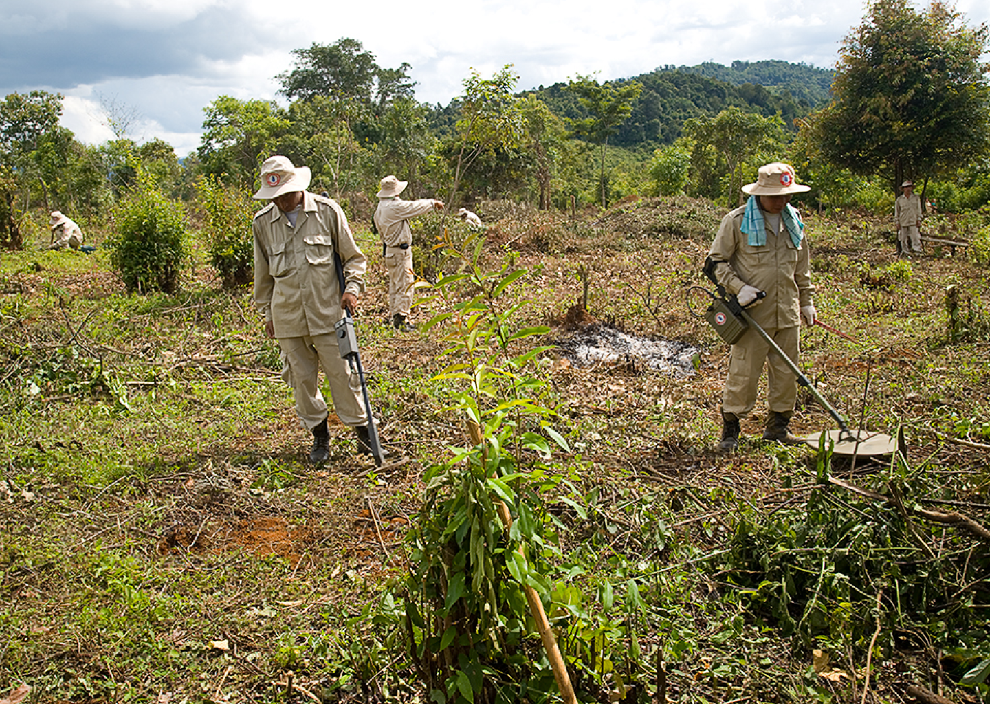 Image of people working in the field for UXO removal